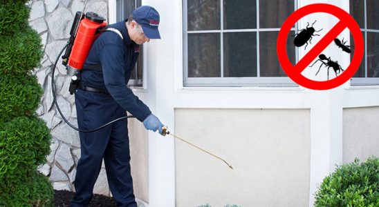 Horasan Pire İlaçlama böcek ilaçlama ve haşere kontrolü — ilaclama-tr.com